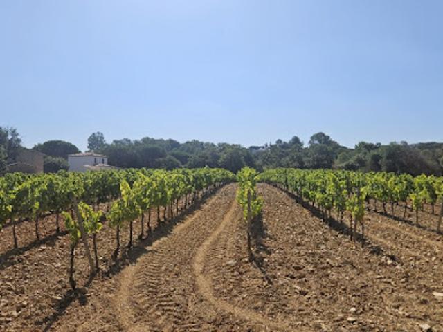 Vente Terrain 698 m2 Cogolin
