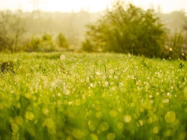 Vente Terrain 699 m2 Monnerville