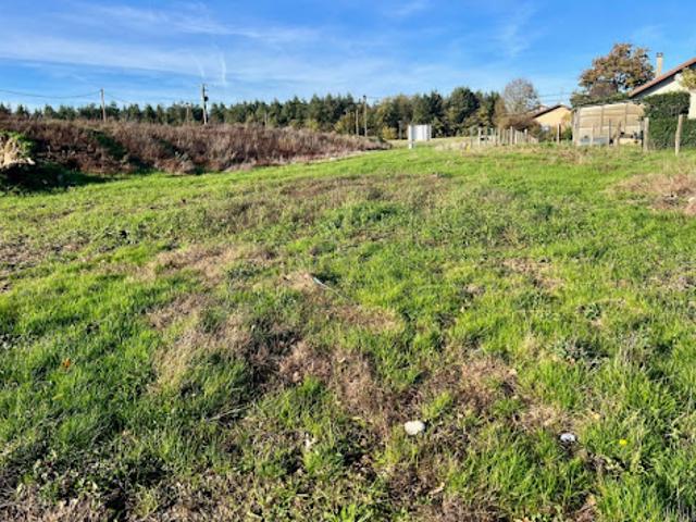 Vente Terrain 603 m2 Attignat