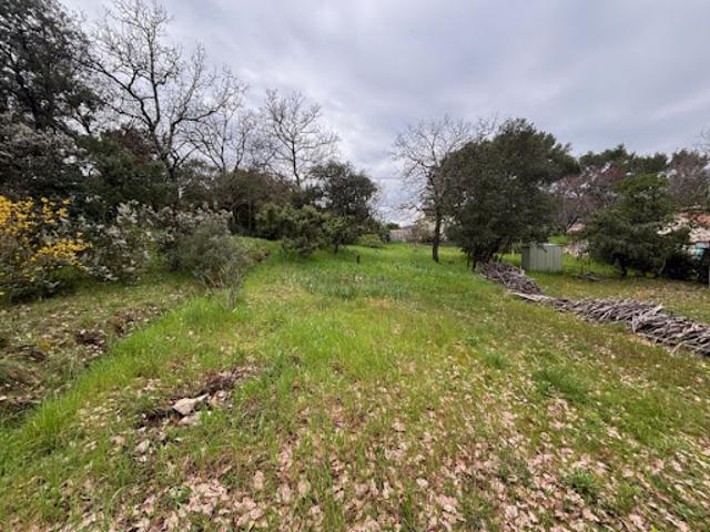 Vente Terrain 603 m2 Carnoules