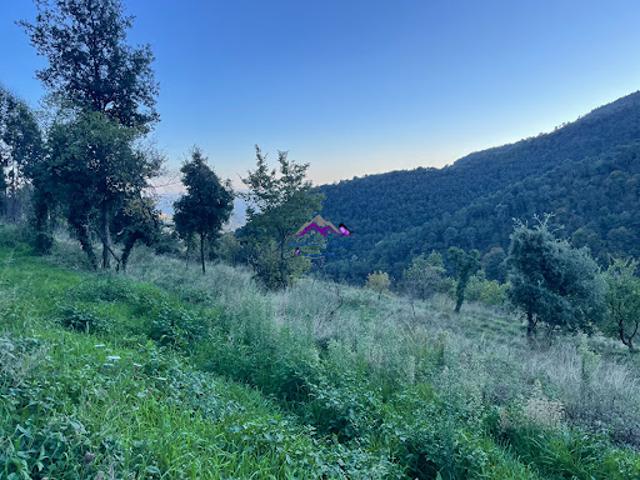 Vente Terrain 6000 m2 Castillon