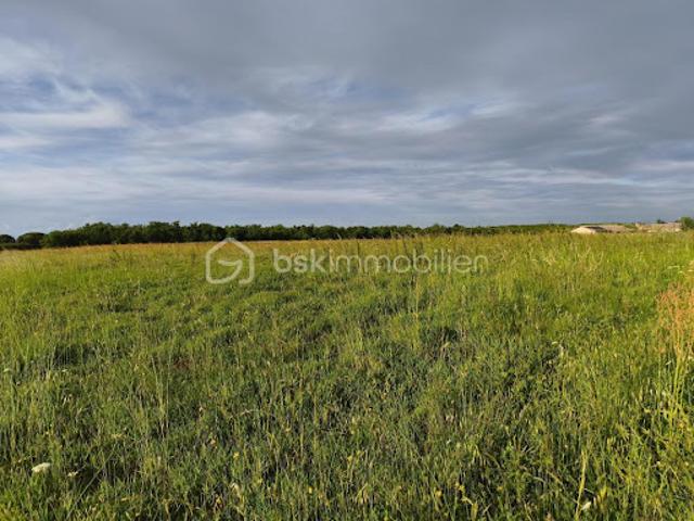 Vente Terrain 6000 m2 Lavit