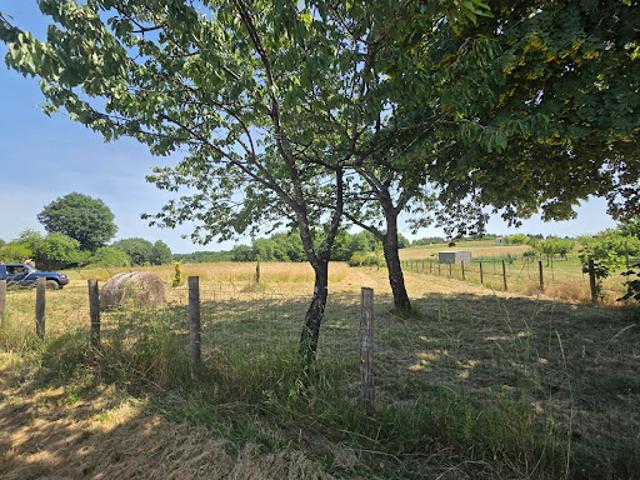 Vente Terrain 6000 m2 Rouffignac Saint Cernin de Reilhac