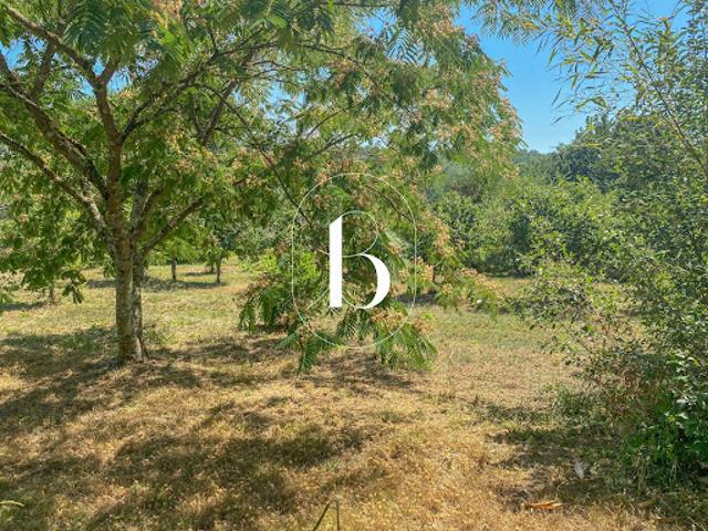 Vente Terrain 600 m2 Vallon Pont d'Arc