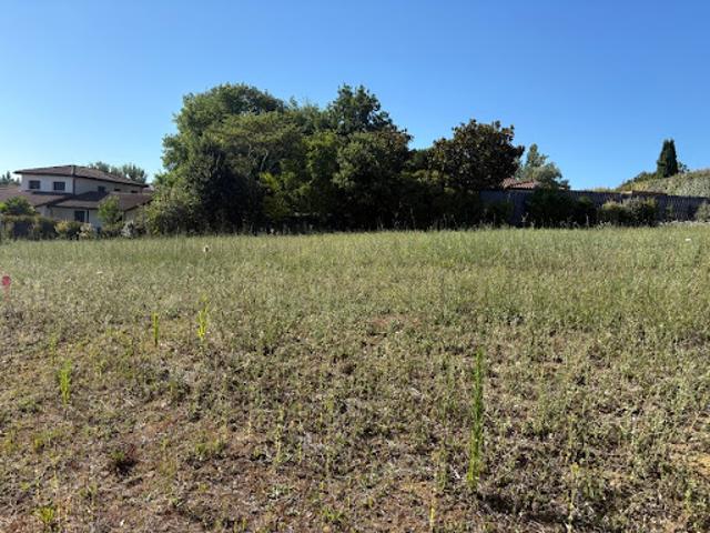 Vente Terrain 600 m2 Villeneuve lès Bouloc