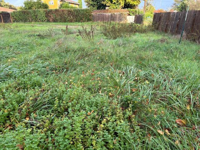 Vente Terrain 600 m2 Andernos les Bains