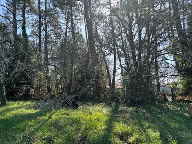 Vente Terrain 600 m2 Andernos les Bains