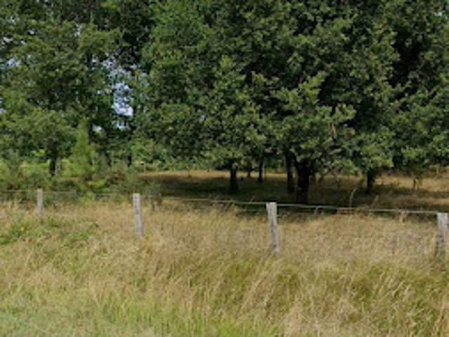 Vente Terrain 600 m2 Cestas