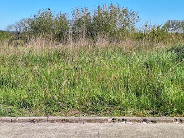 Vente Terrain 600 m2 Cornebarrieu