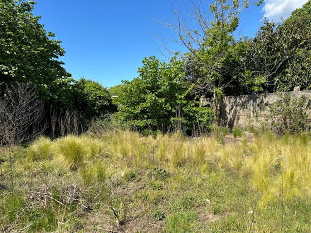 Vente Terrain 600 m2 Gujan Mestras