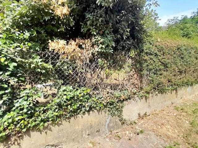 Vente Terrain 600 m2 Janvry