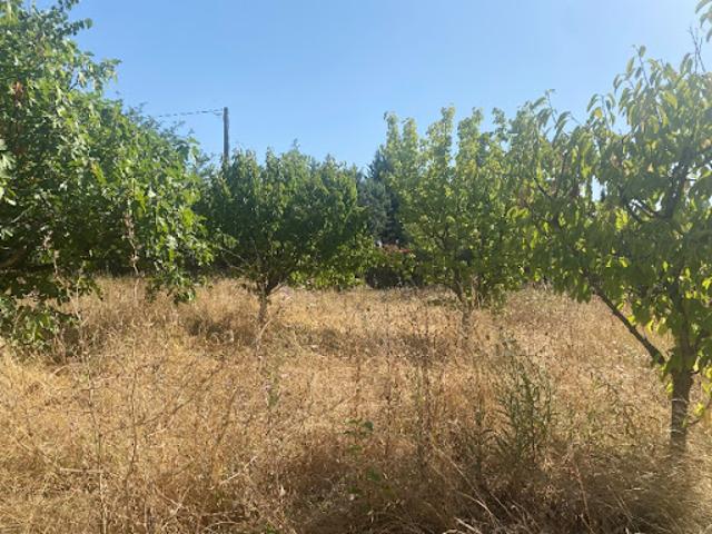 Vente Terrain 600 m2 La Crau