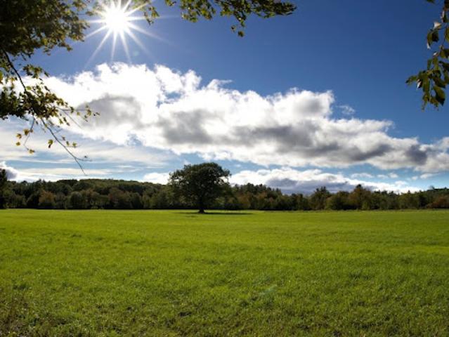 Vente Terrain 600 m2 Savonnieres