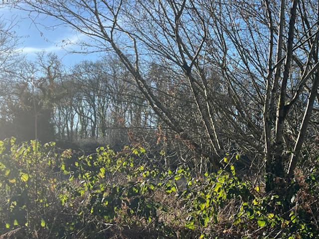Vente Terrain 6028 m2 Treffrin