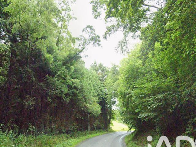 Vente Terrain 6045 m2 Froberville