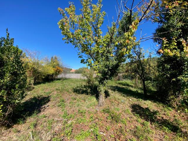 Vente Terrain 604 m2 Carnoules