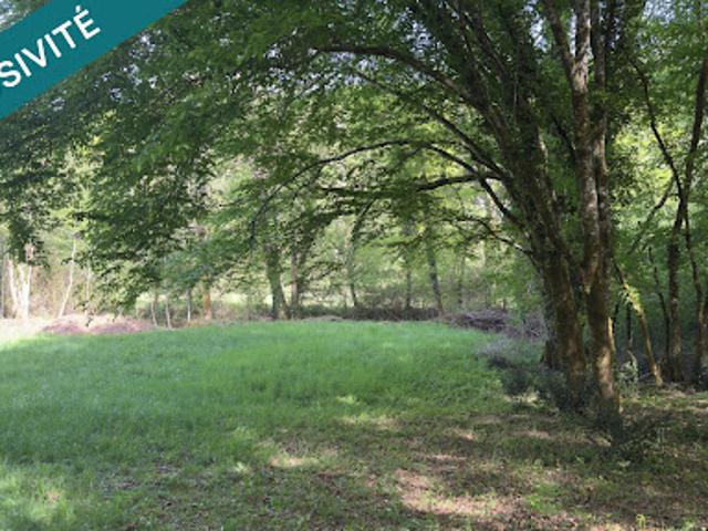Vente Terrain 6056 m2 Les Eyzies de Tayac Sireuil