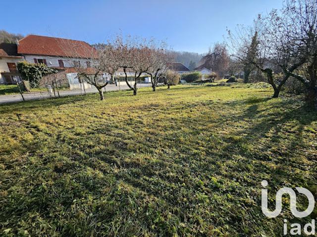 Vente Terrain 605 m2 Chazey Bons
