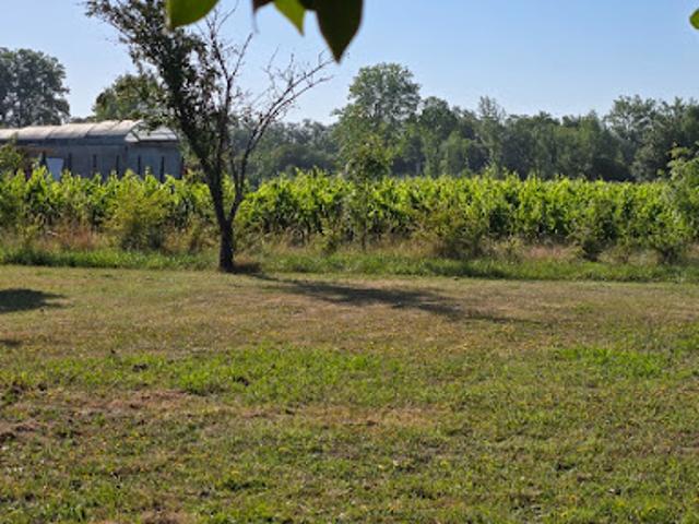 Vente Terrain 605 m2 Saint André de Cubzac