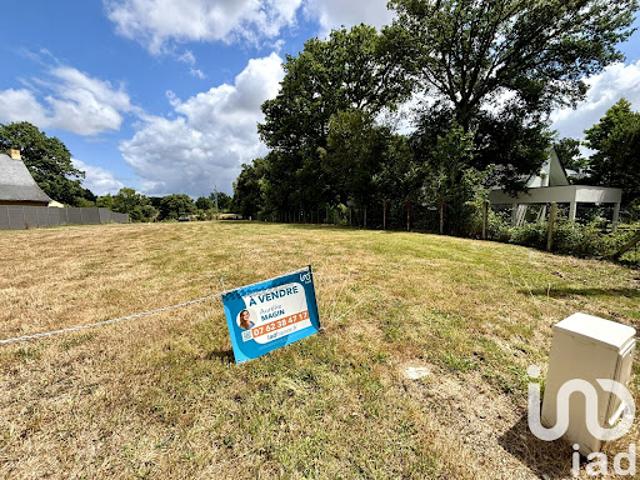 Vente Terrain 606 m2 Cesson sevigne