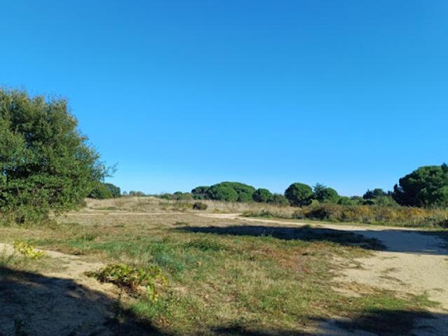Vente Terrain 606 m2 Latour Bas Elne