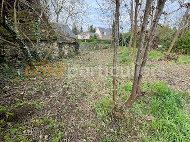 Vente Terrain 606 m2 Saint Cyr sur Loire