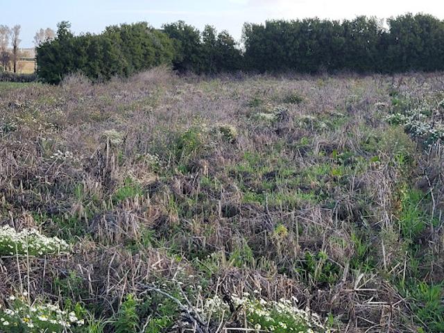 Vente Terrain 608 m2 Guissény
