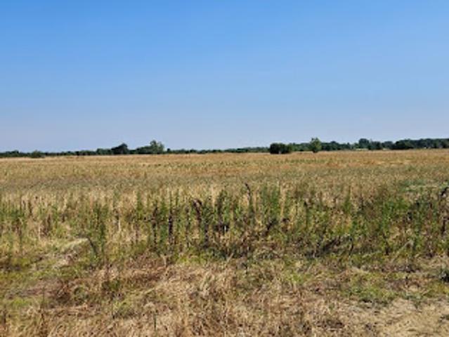 Vente Terrain 609 m2 Lamasquère