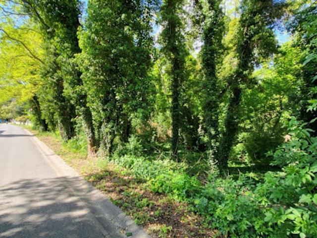 Vente Terrain 613 m2 Auvers Saint Georges