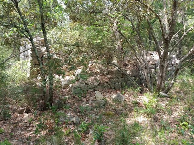Vente Terrain 6100 m2 Trans en Provence