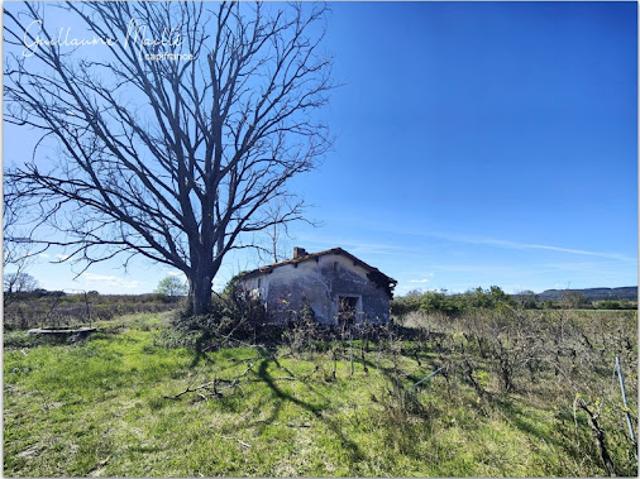 Vente Terrain 61050 m2 Caux