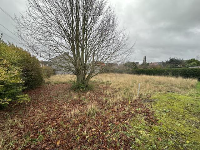 Vente Terrain 610 m2 Annezin
