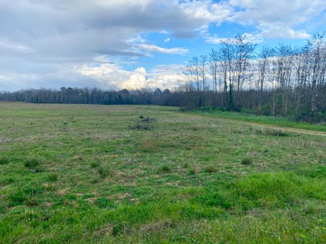 Vente Terrain 610 m2 Landiras