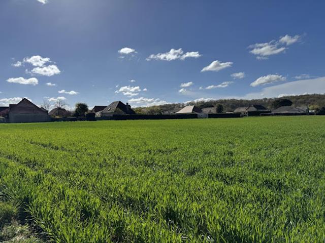 Vente Terrain 611 m2 Idron