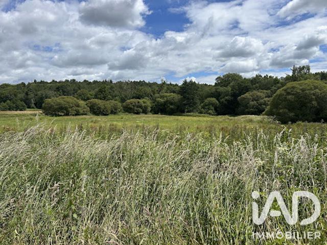 Vente Terrain 61200 m2 Coëtlogon