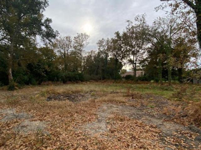 Vente Terrain 612 m2 Moliets et Maa