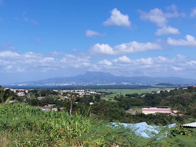 Vente Terrain 614 m2 Riviere salee