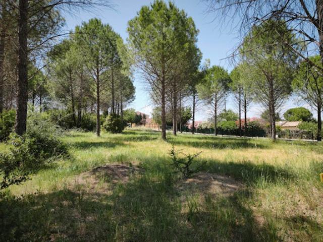 Vente Terrain 614 m2 Roquebrune sur Argens