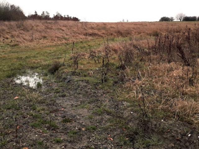 Vente Terrain 615 m2 Farébersviller