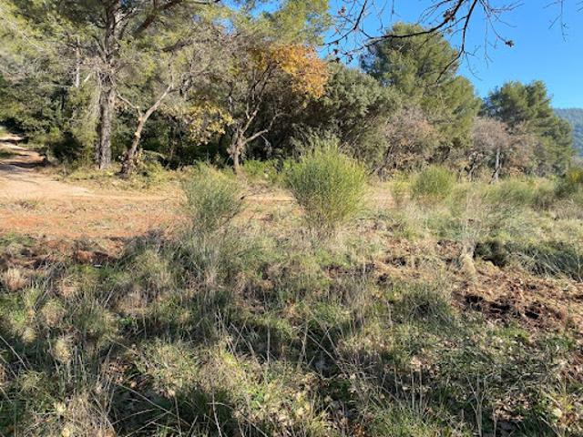 Vente Terrain 615 m2 Puget Ville