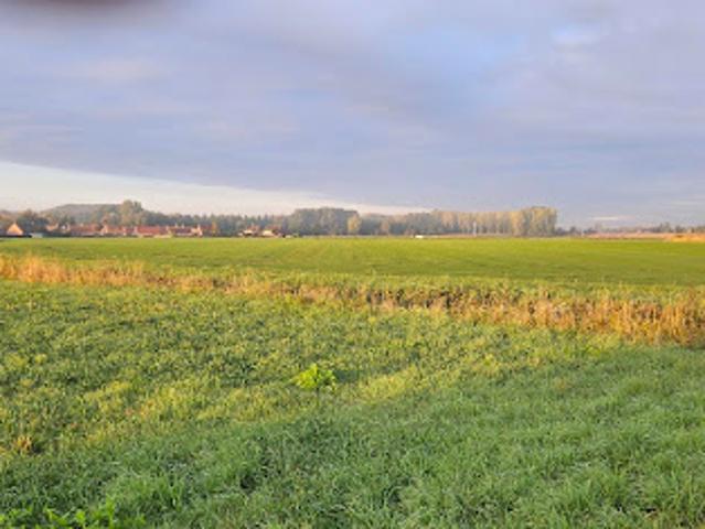 Vente Terrain 615 m2 Sailly sur la Lys