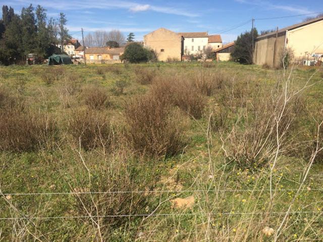 Vente Terrain 616 m2 Ornaisons