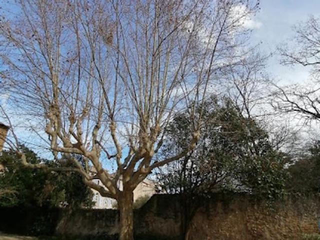 Vente Terrain 618 m2 Le Beausset