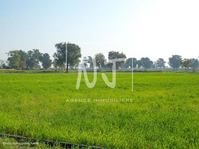 Vente Terrain 619 m2 La Ménitré