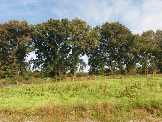 Vente Terrain 623 m2 Bodilis