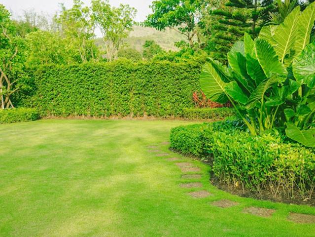 Vente Terrain 623 m2 Connigis