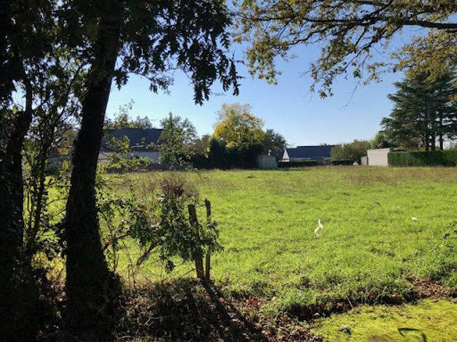 Vente Terrain 623 m2 Mauves sur Loire