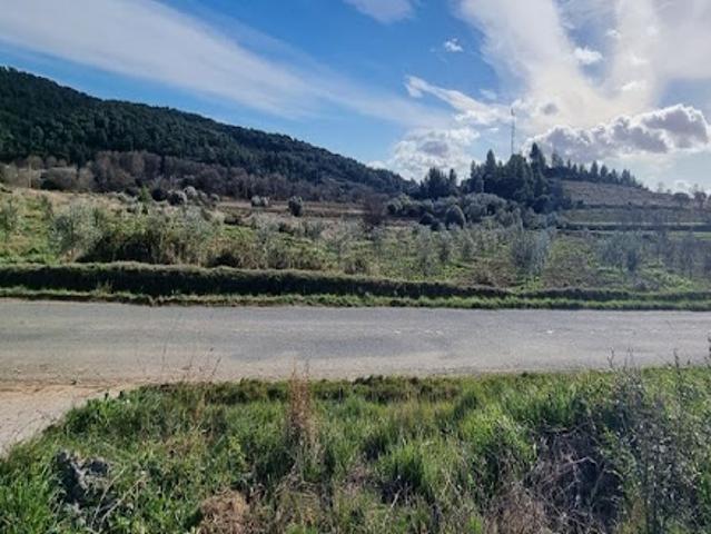 Vente Terrain 620 m2 Bize Minervois