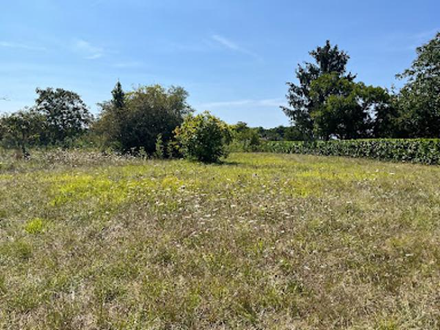 Vente Terrain 620 m2 Saint Yzan de Soudiac