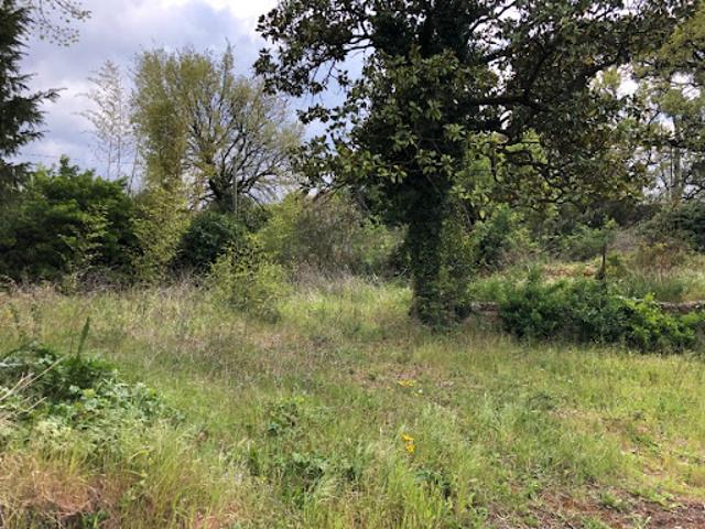 Vente Terrain 620 m2 Saint Chamas